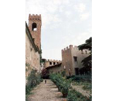 Castello di Montebicchieri (credits: www.italiamappe.it)