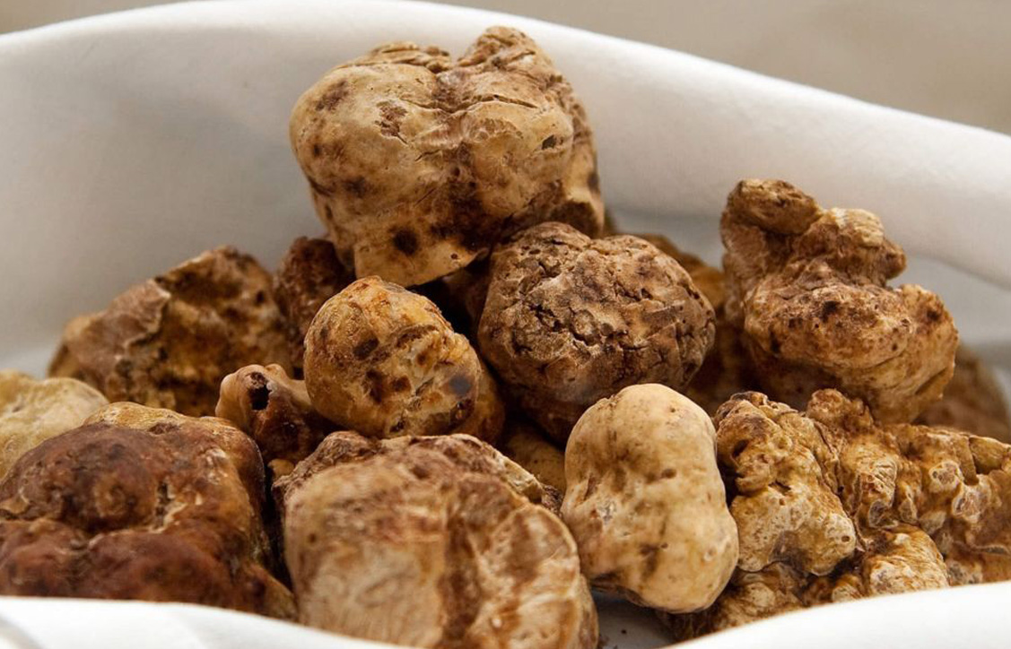 Sagra del Tartufo Bianco e del Fungo